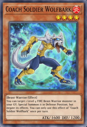 Coach Soldier Wolfbark