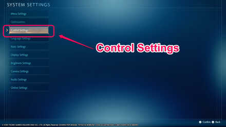 Stranger of Paradise - Control Settings