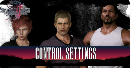 Final Fantasy Origin - Control Settings
