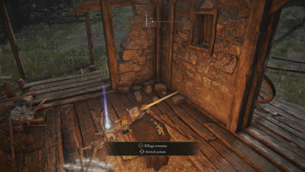 Elden Ring - Frenzied