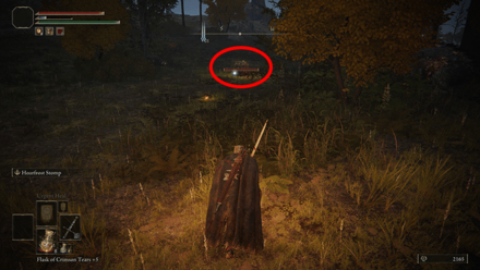 Elden Ring - Scarab 36 World View