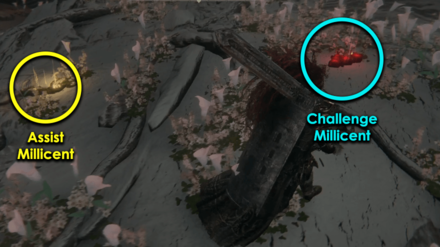 Assist or Challenge Millicent