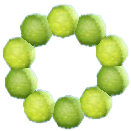 Glowing-Moss Wreath Image