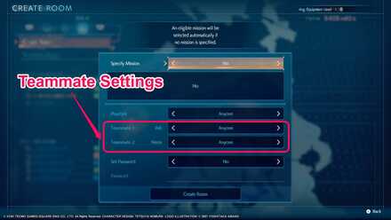 Stranger of Paradise - Online Teammate Settings