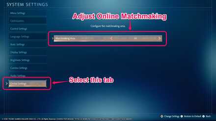 Stranger of Paradise - Online Settings