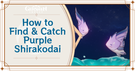 Genshin Impact - Where to Find the Purple Shirakodai and Basic Information - Purple Shirakodai Locations