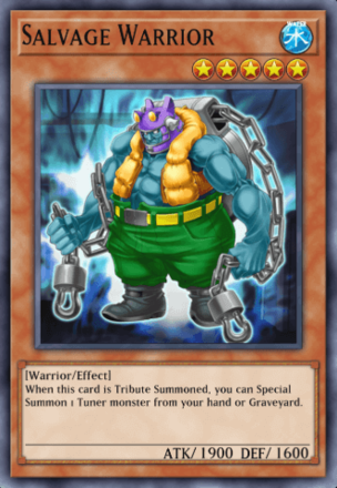 Salvage Warrior