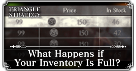 Triangle Strategy - Full Inventory Banner