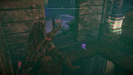 Custom Order Datapoint Horizon Forbidden West