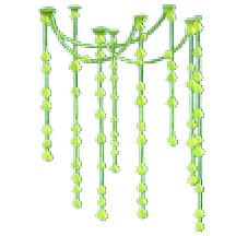 Hanging Glowing Moss Image