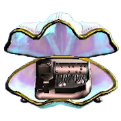 Shell Music Box Image