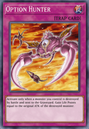 Option Hunter