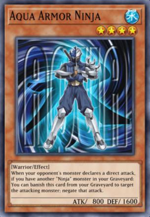 Aqua Armor Ninja