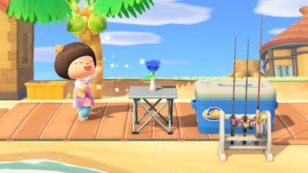 ACNH - Decorate with Flowers