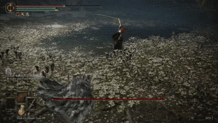 Quick Slashes - Malenia Blade of Miquella - Elden Ring