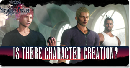 Stranger in Paradise - Is There Character Creation.png