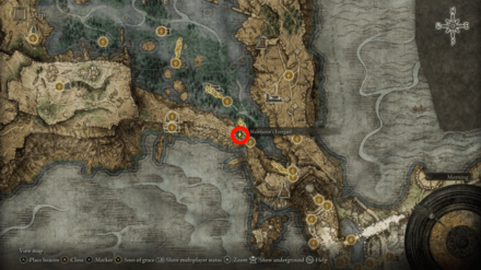 Elden Ring - Malefactor