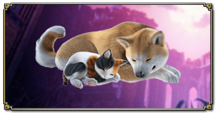 MH Rise Sunbreak - Preorder Buddy Costumes