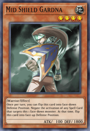 Mid Shield Gardna