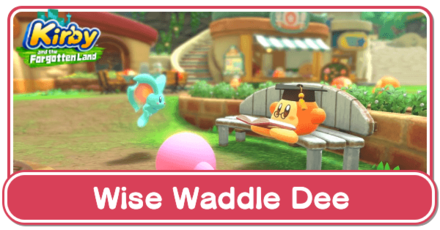 Kirby and the Forgotten Land Wise Waddle Dee