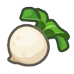 Turnip Image
