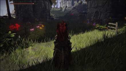 Elden Ring - Jarburg plants