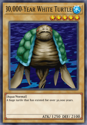 30,000-Year White Turtle