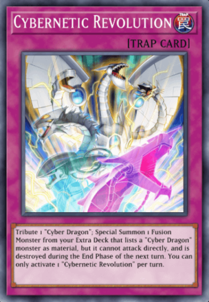 Cybernetic Revolution