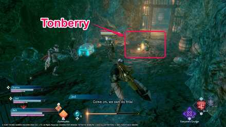 The Journey Begins - Tonberry Path 3