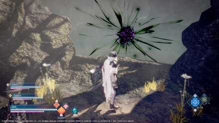 Natural Distortion - Fight the Boss