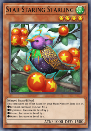 Star Staring Starling