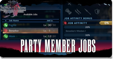 Stranger of Paradise Party Member Jobs