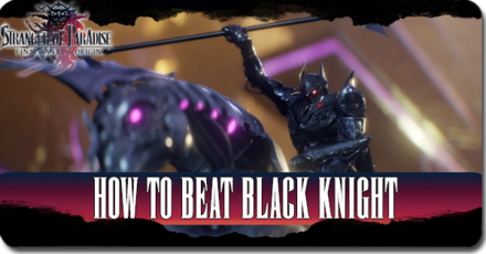 Final Fantasy Origin - Stranger of Paradise - How to Beat Black Knight
