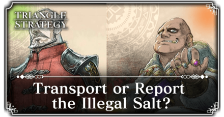 Triangle Strategy - Transport or Report Illegal Salt Banner