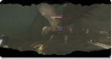 Griffon Queen Image