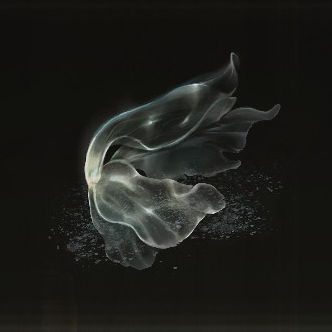 Nascent Butterfly Icon