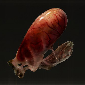 Land Octopus Ovary Icon