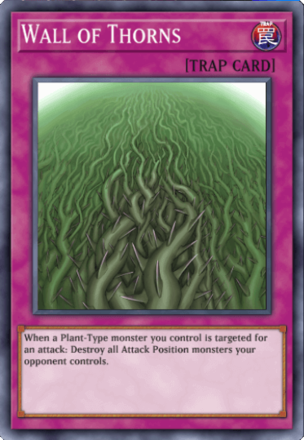 Wall of Thorns
