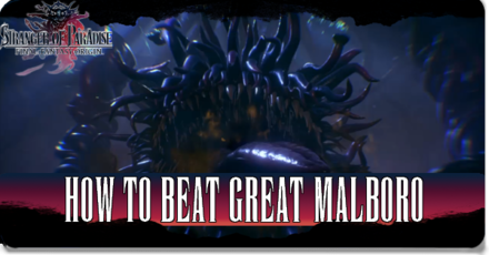 How to Beat Great Malboro banner