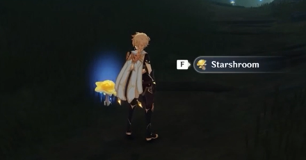 Genshin - The Chasm - Starshroom