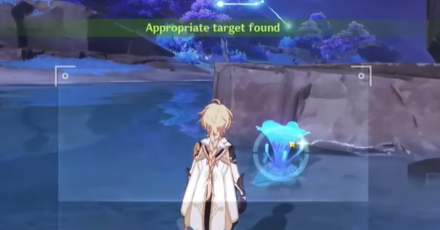 Genshin - The Moon and Stars Inscribe - Picture Taking