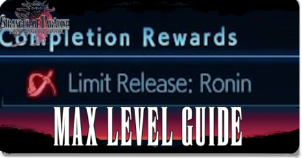 Stranger of Paradise Max Level Guide