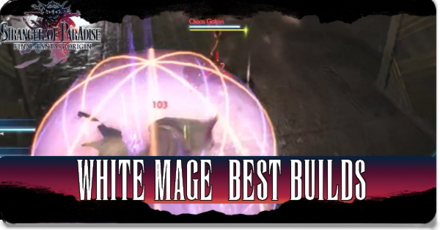 White Mage Best Builds
