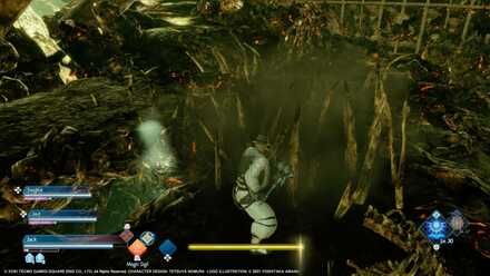 The Suffering of Fools - Spike Traps