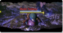 Master Tonberry Image