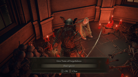 Rya - Volcano Manor Legacy Dungeon World View