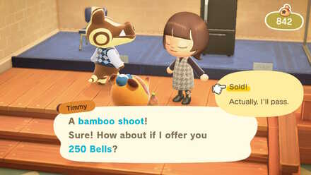 ACNH - Sell Bamboo Shoots for 250 Bells