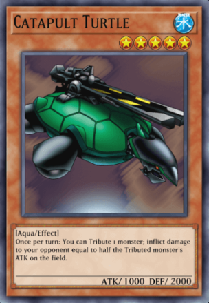Catapult Turtle Image