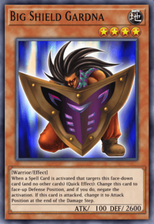 Big Shield Gardna