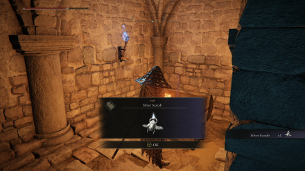 Elden Ring - Silver Scarab Location